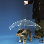 Harry Hilders – Paraplu gadgets